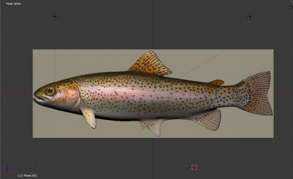 Rainbow Trout preview image 1